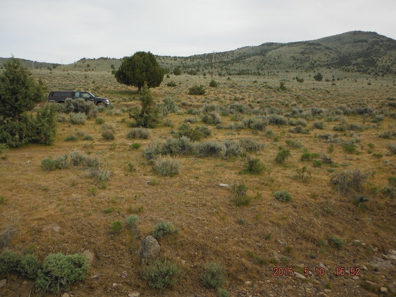 DSCF2576.jpg