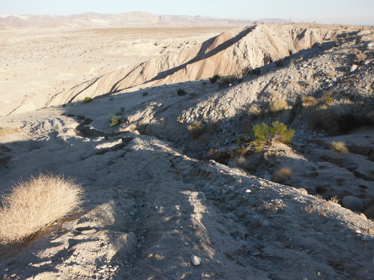 DSCF2614.jpg