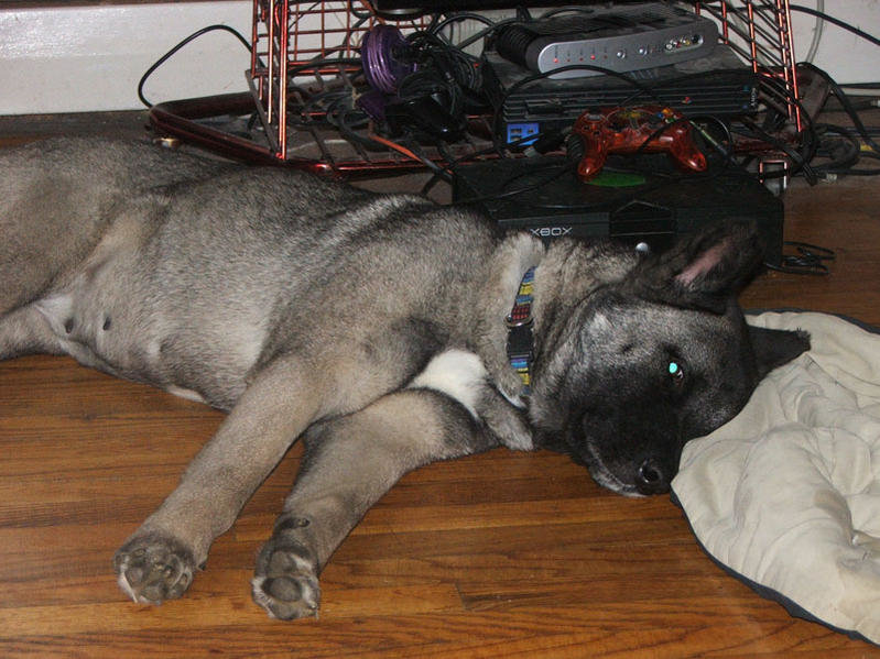 DSCF2619.jpg