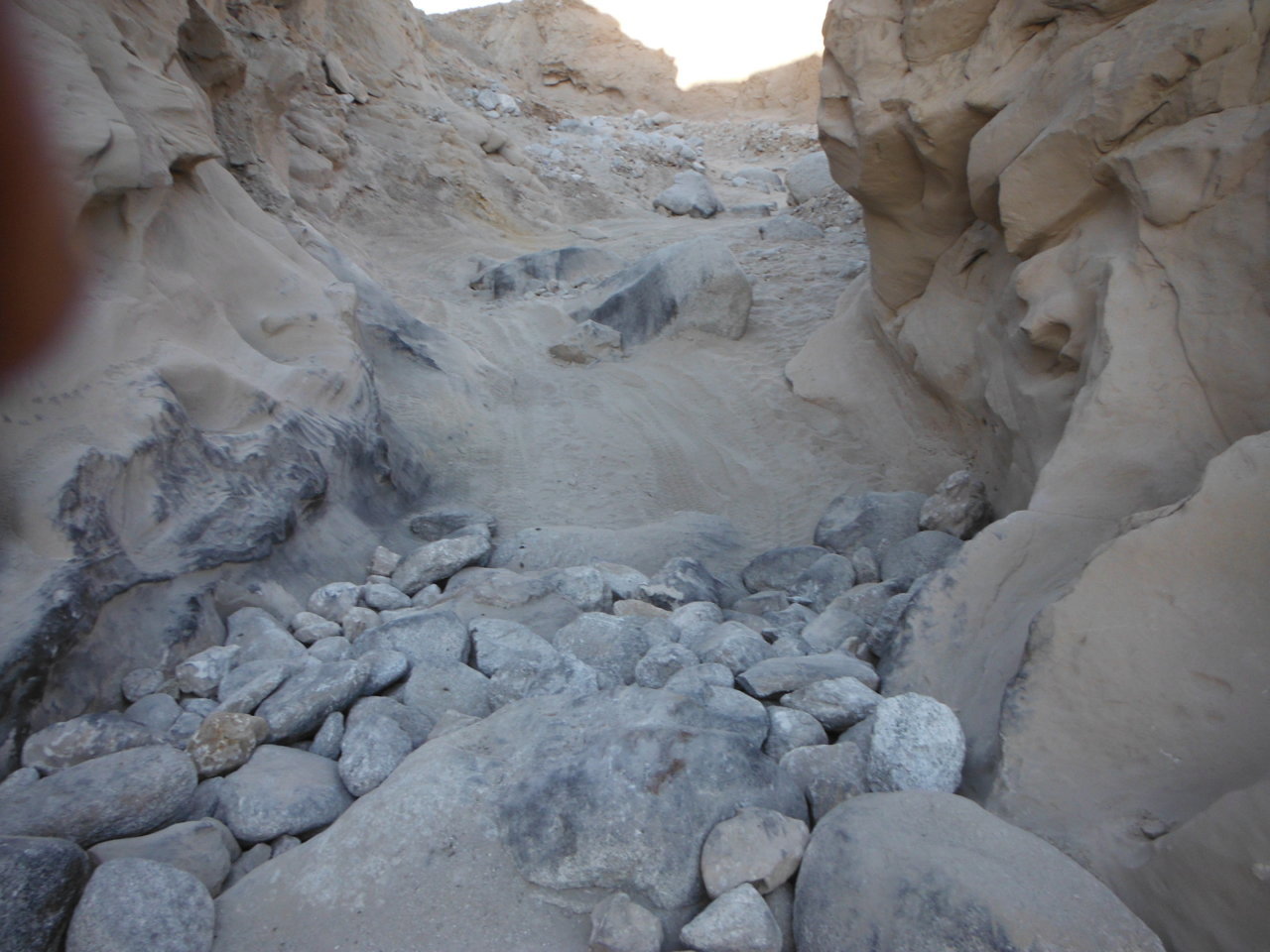 DSCF2656.jpg