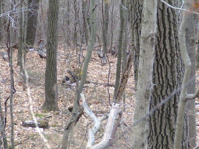 DSCF2783.jpg