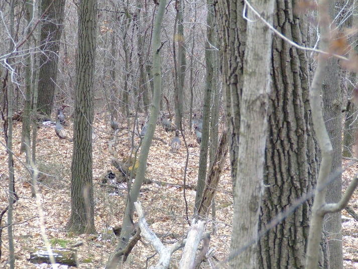 DSCF2784.jpg