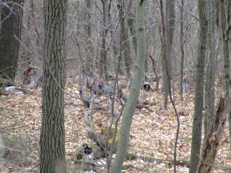 DSCF2785.jpg