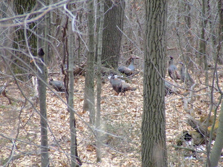 DSCF2786.jpg