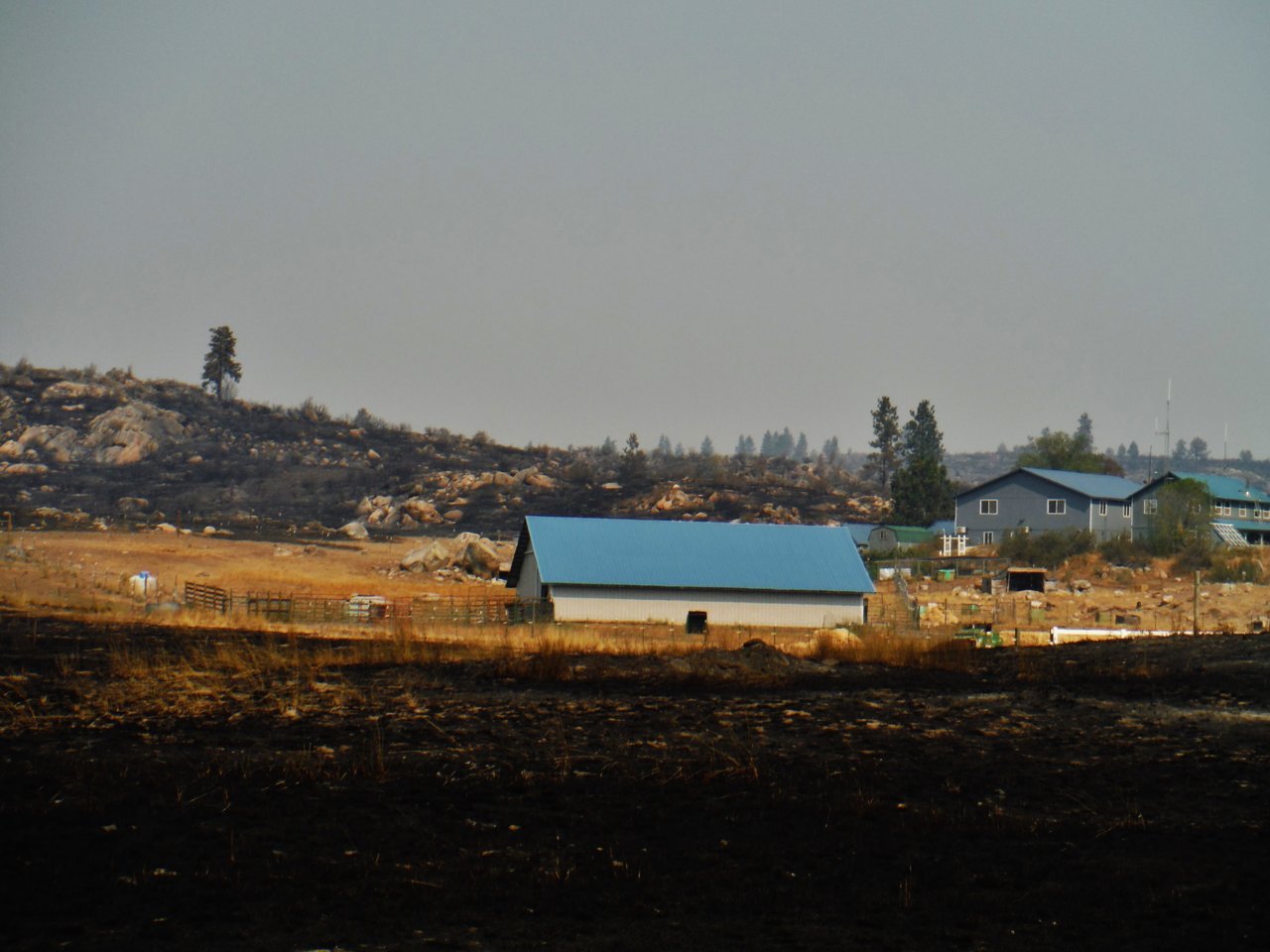 DSCF2849.jpg