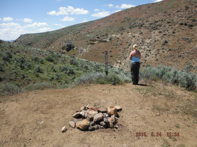 DSCF2940.jpg