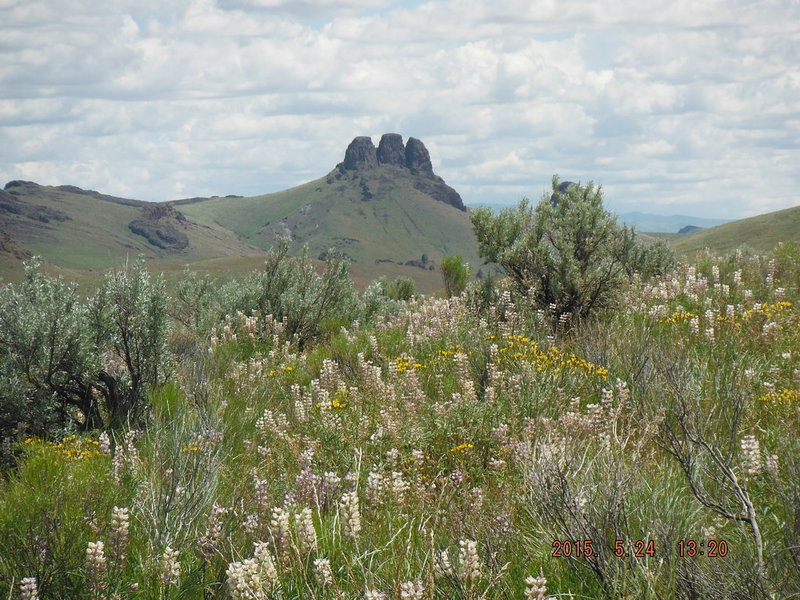 DSCF2971.jpg