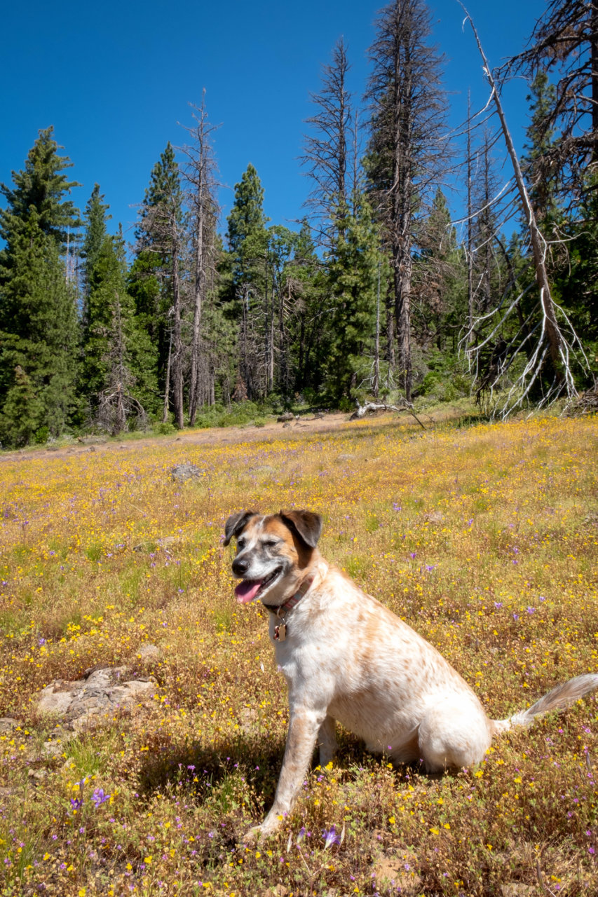 DSCF3103-Edit.jpg