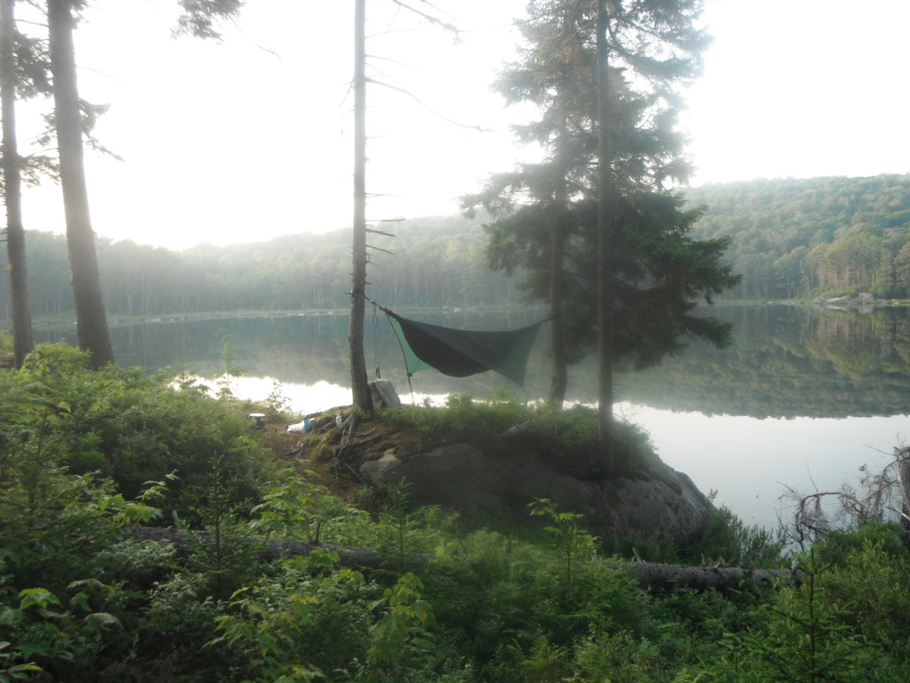 DSCF3154.jpg