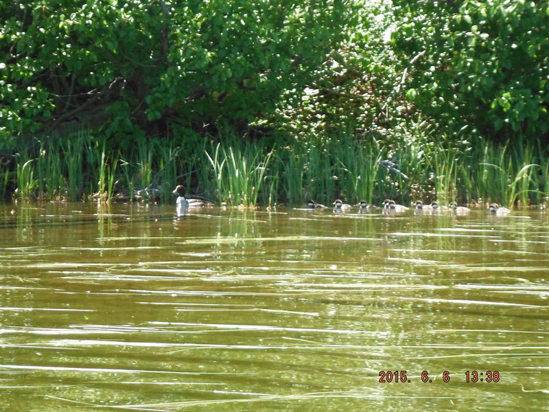 DSCF3250.jpg