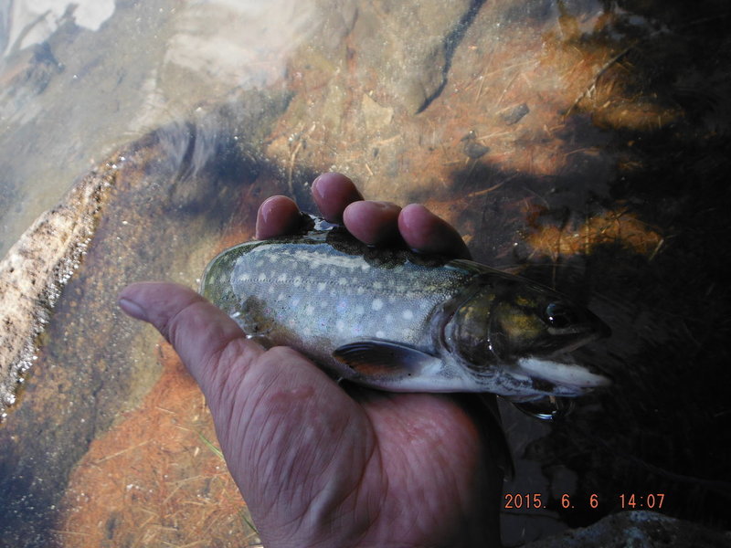 DSCF3260.jpg