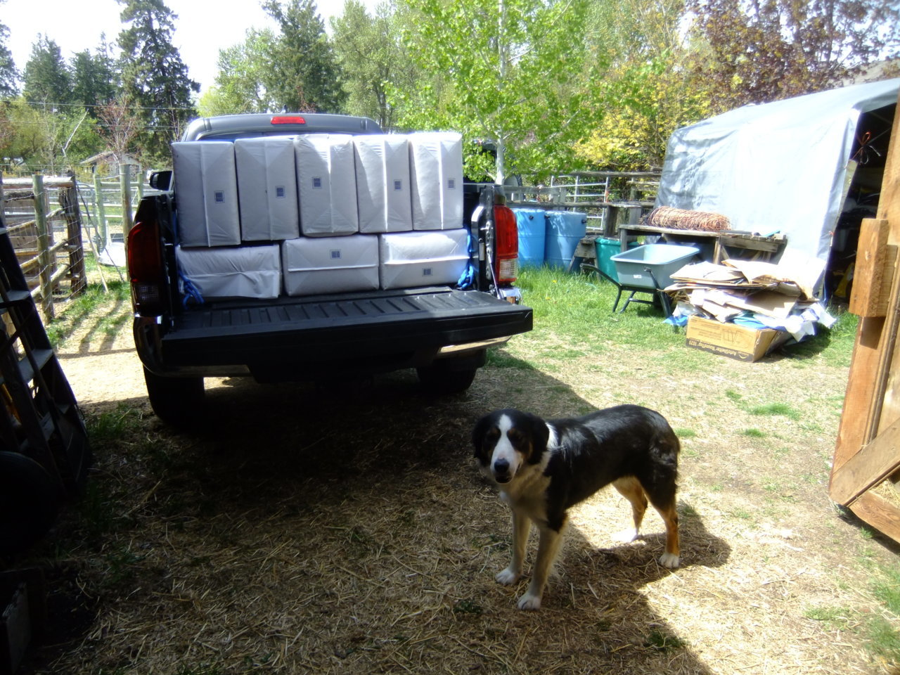 DSCF3338.jpg