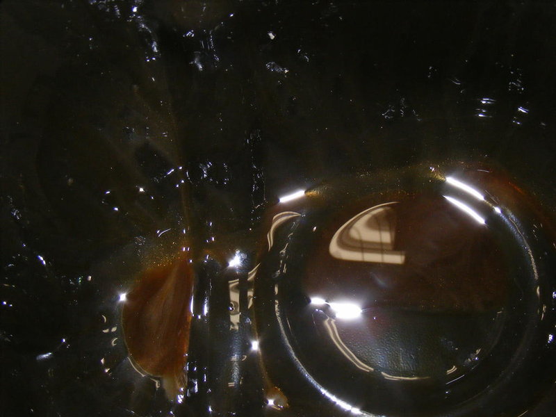 DSCF3368.jpg