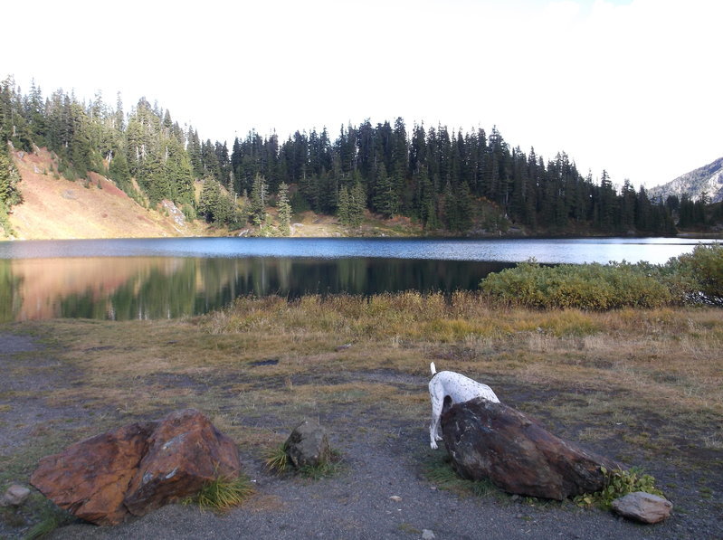 DSCF3386.jpg