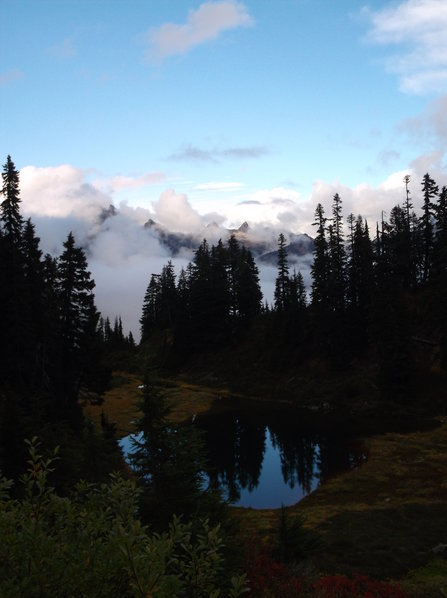 DSCF3403.jpg