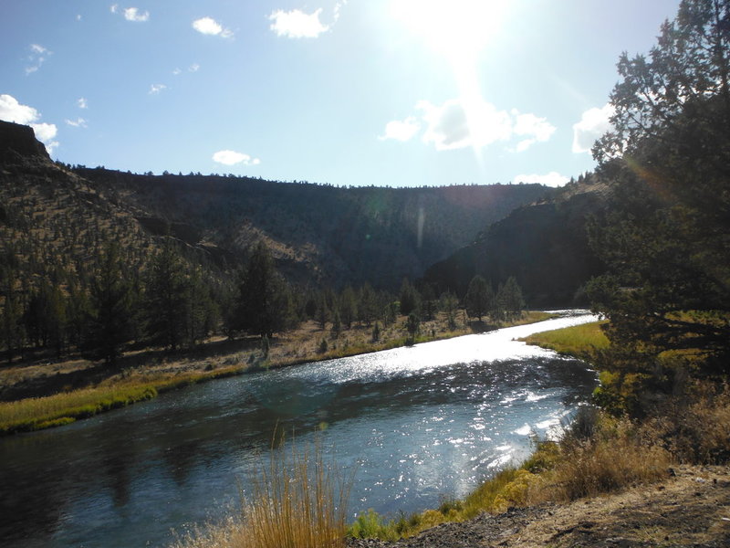 DSCF3429.jpg