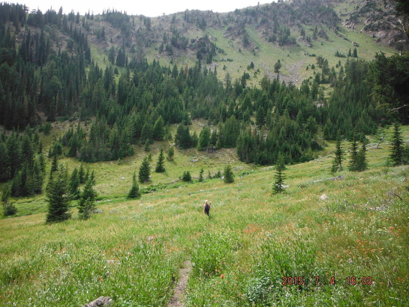 DSCF3678.jpg