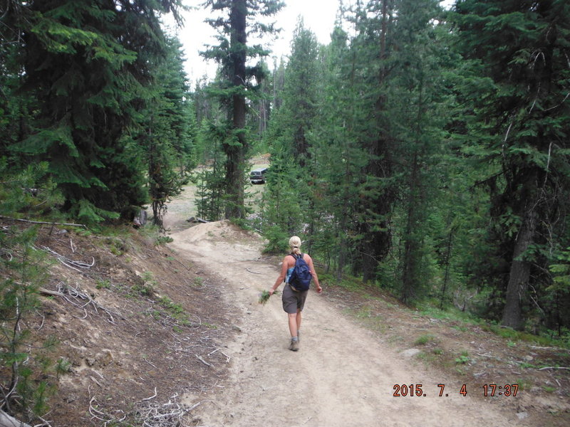 DSCF3694.jpg