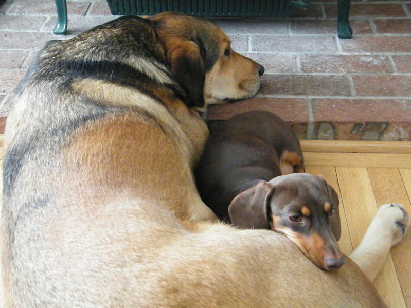 DSCF3772.jpg