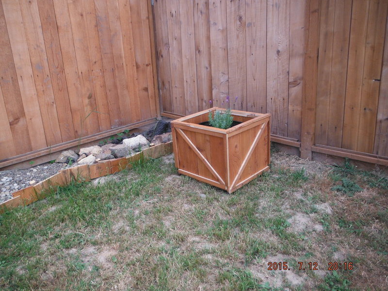DSCF3806.jpg