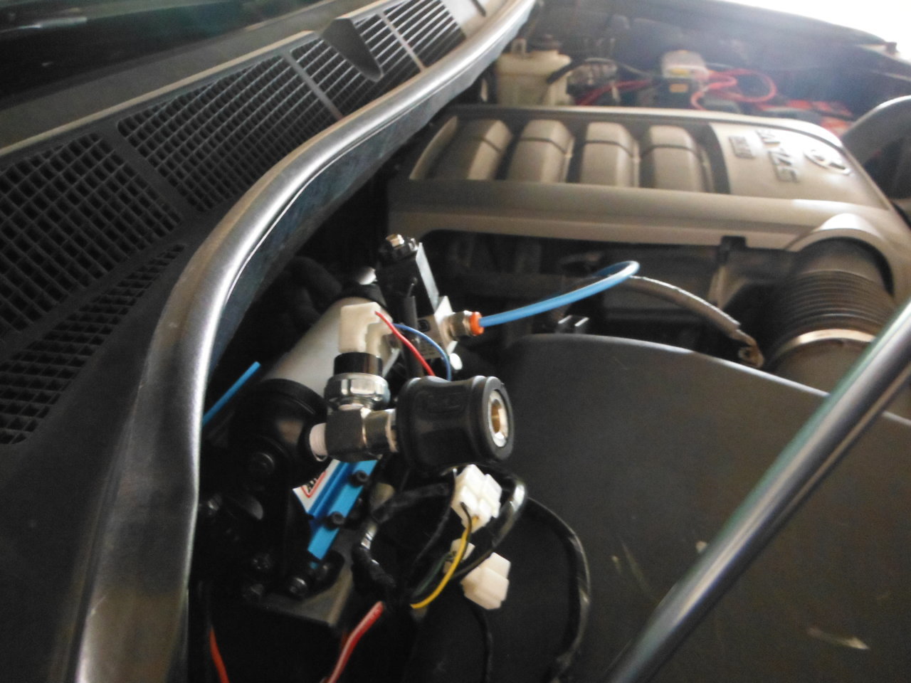 DSCF3838.jpg