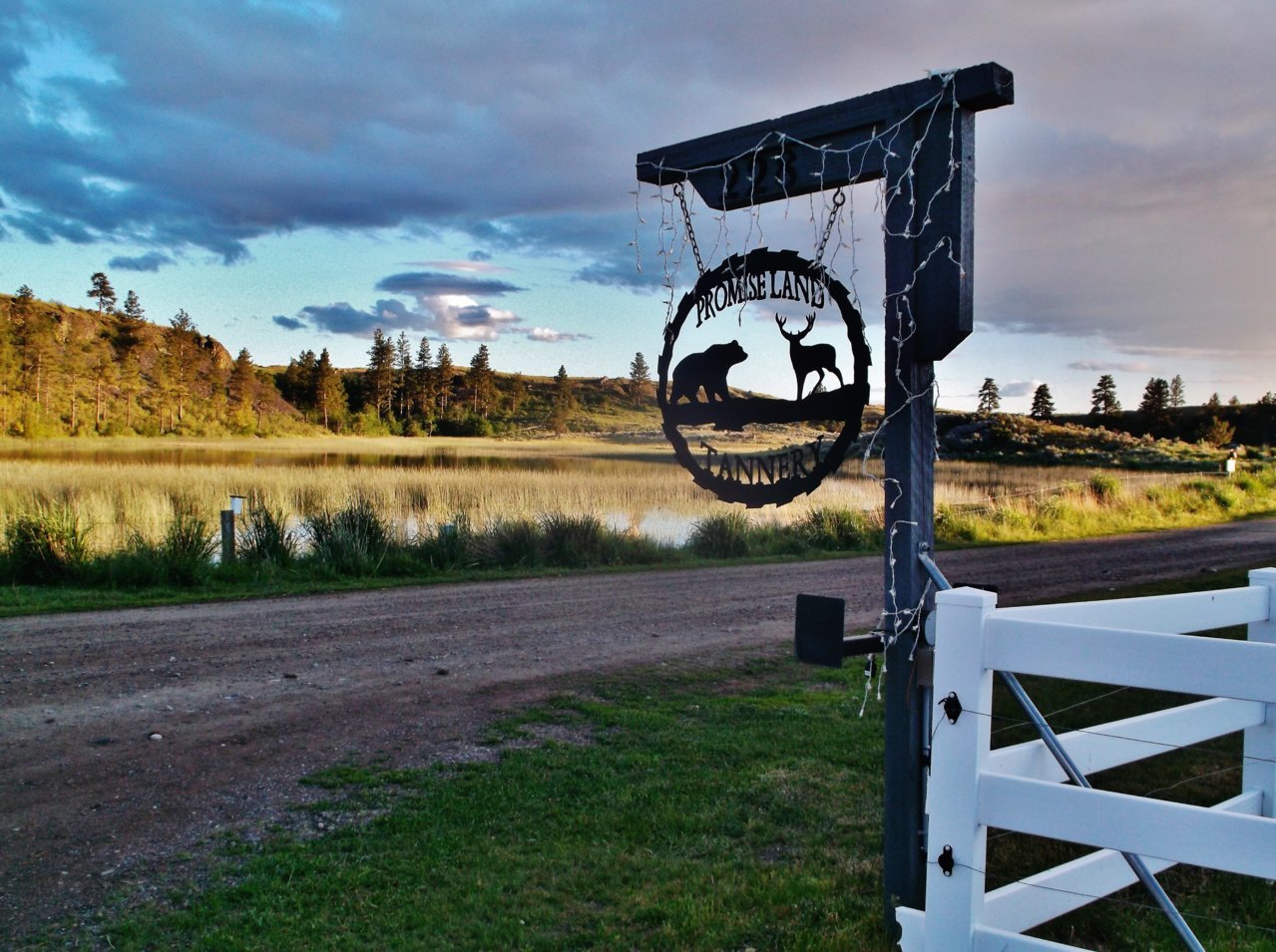 DSCF3950.jpg
