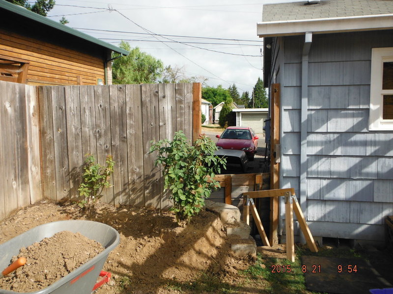 DSCF4159.jpg