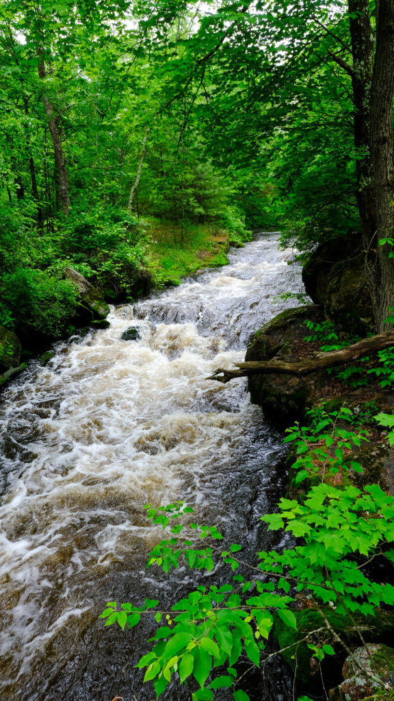 DSCF4269.jpg