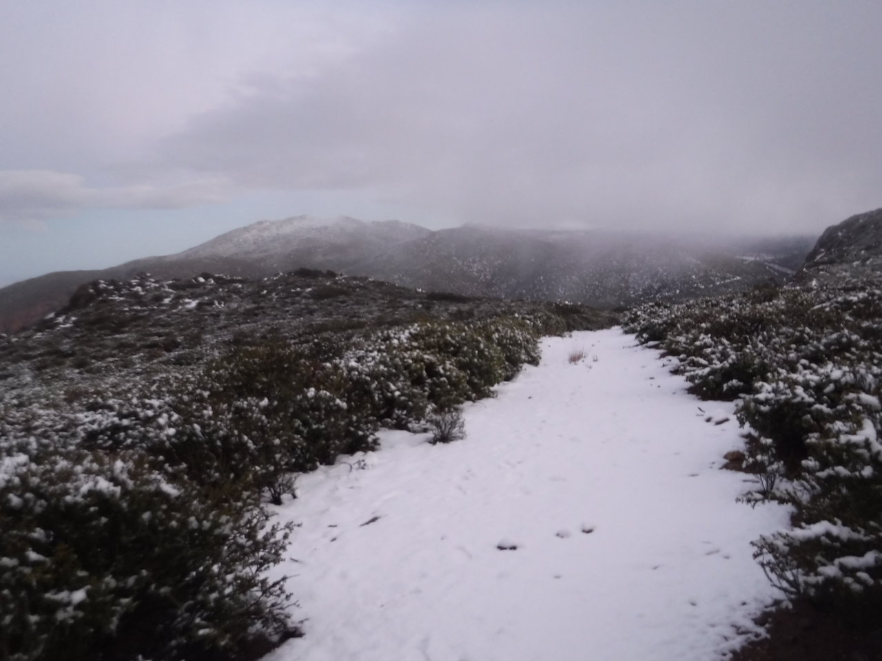 DSCF4513.jpg