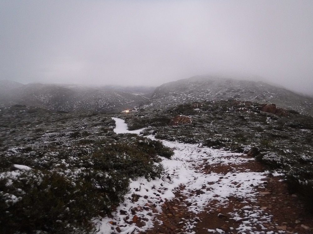 DSCF4519.jpg