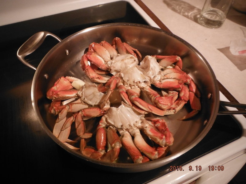 DSCF4533.jpg