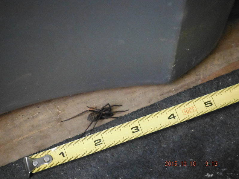 DSCF4613.jpg
