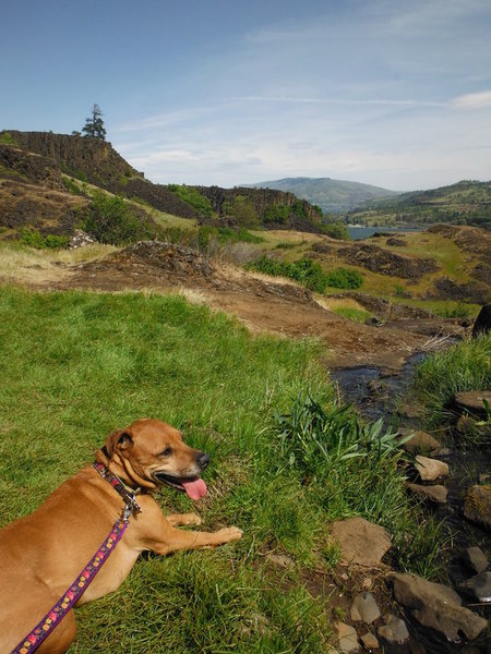 DSCF4841.jpg