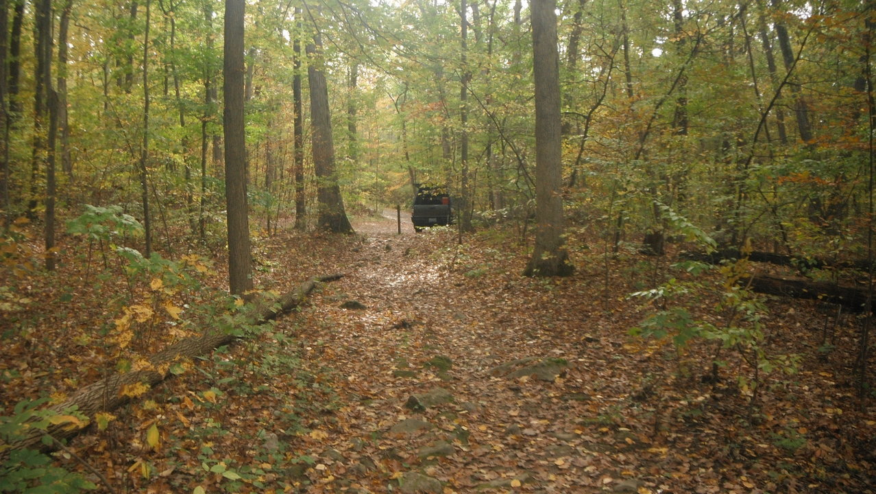DSCF4882.jpg