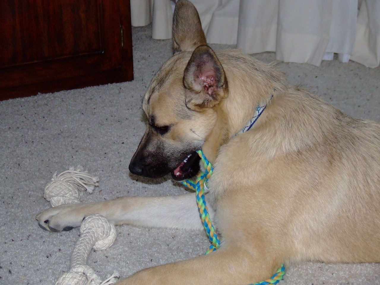 DSCF4891.jpg