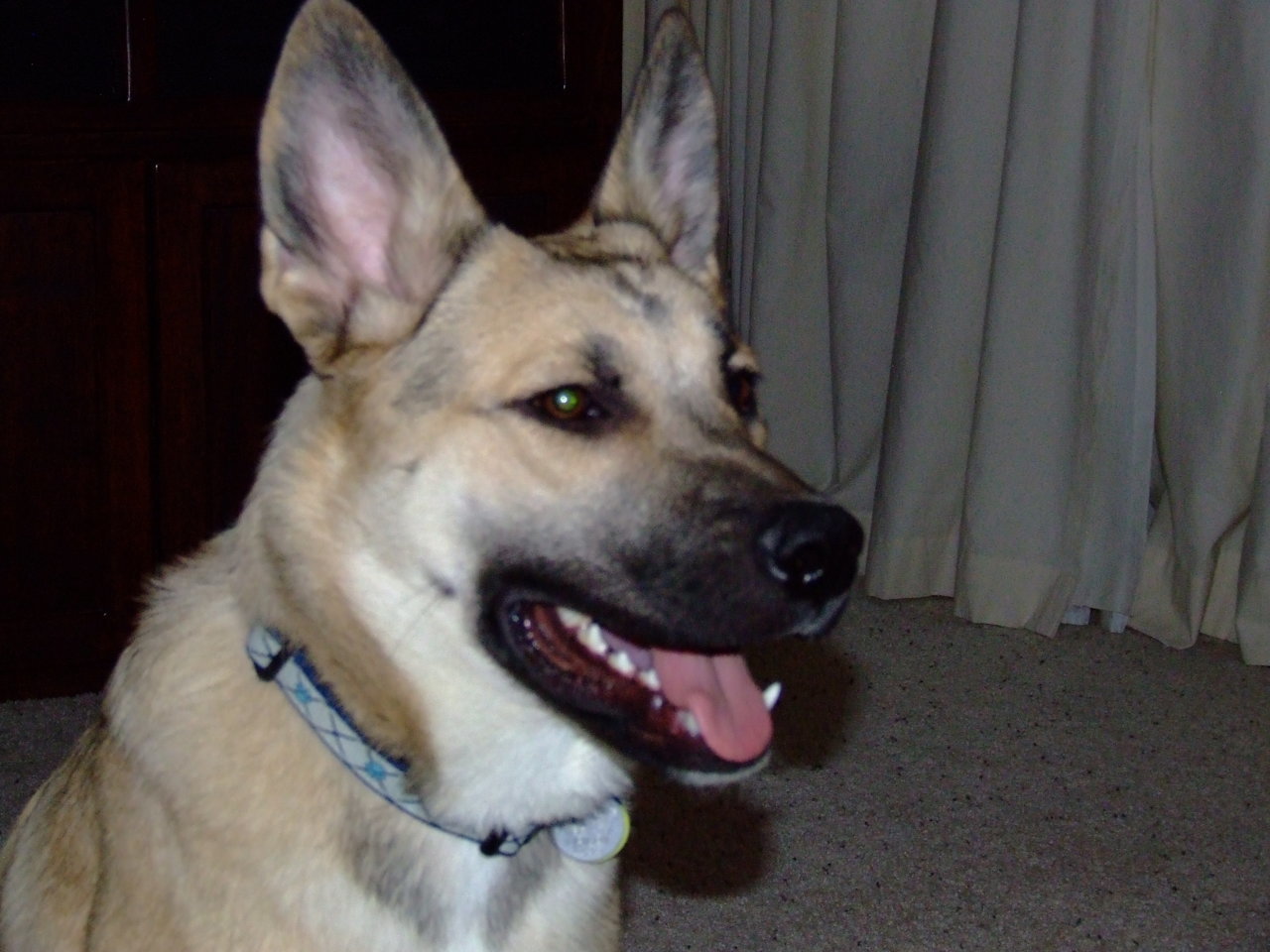 DSCF4901.jpg