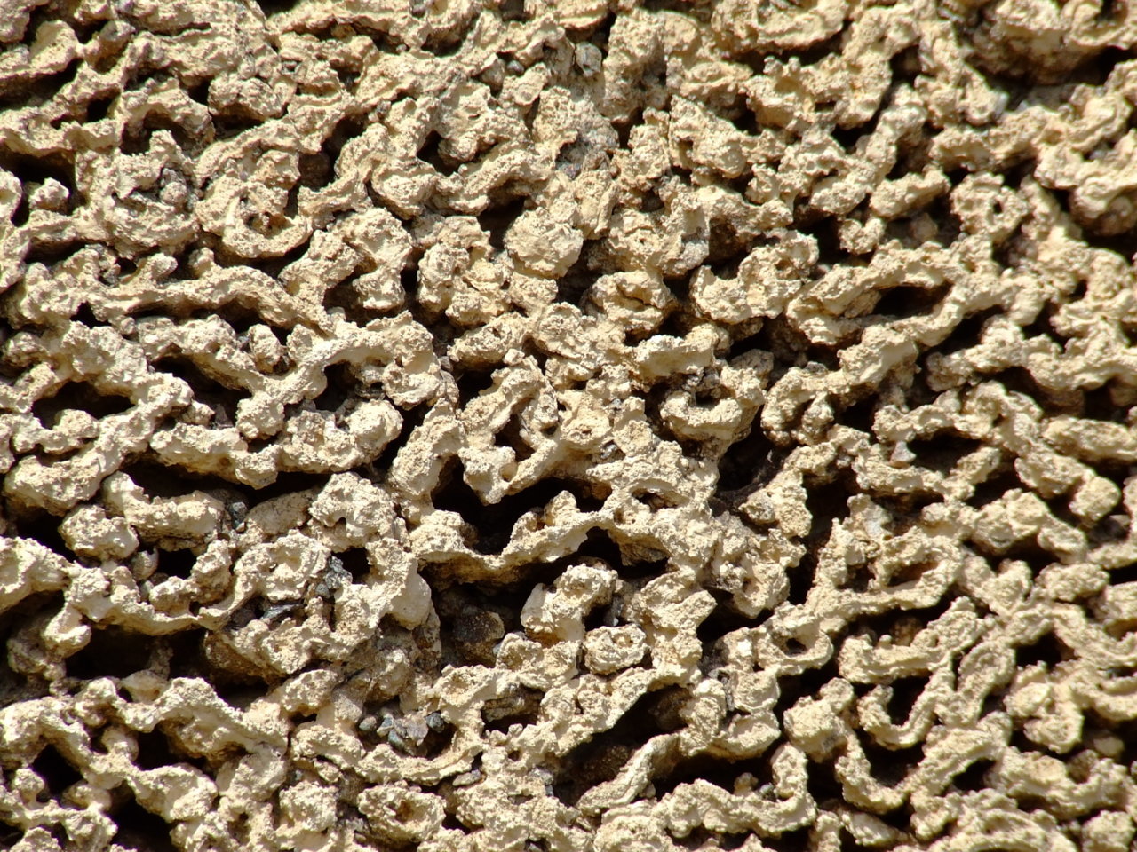 DSCF4969.jpg