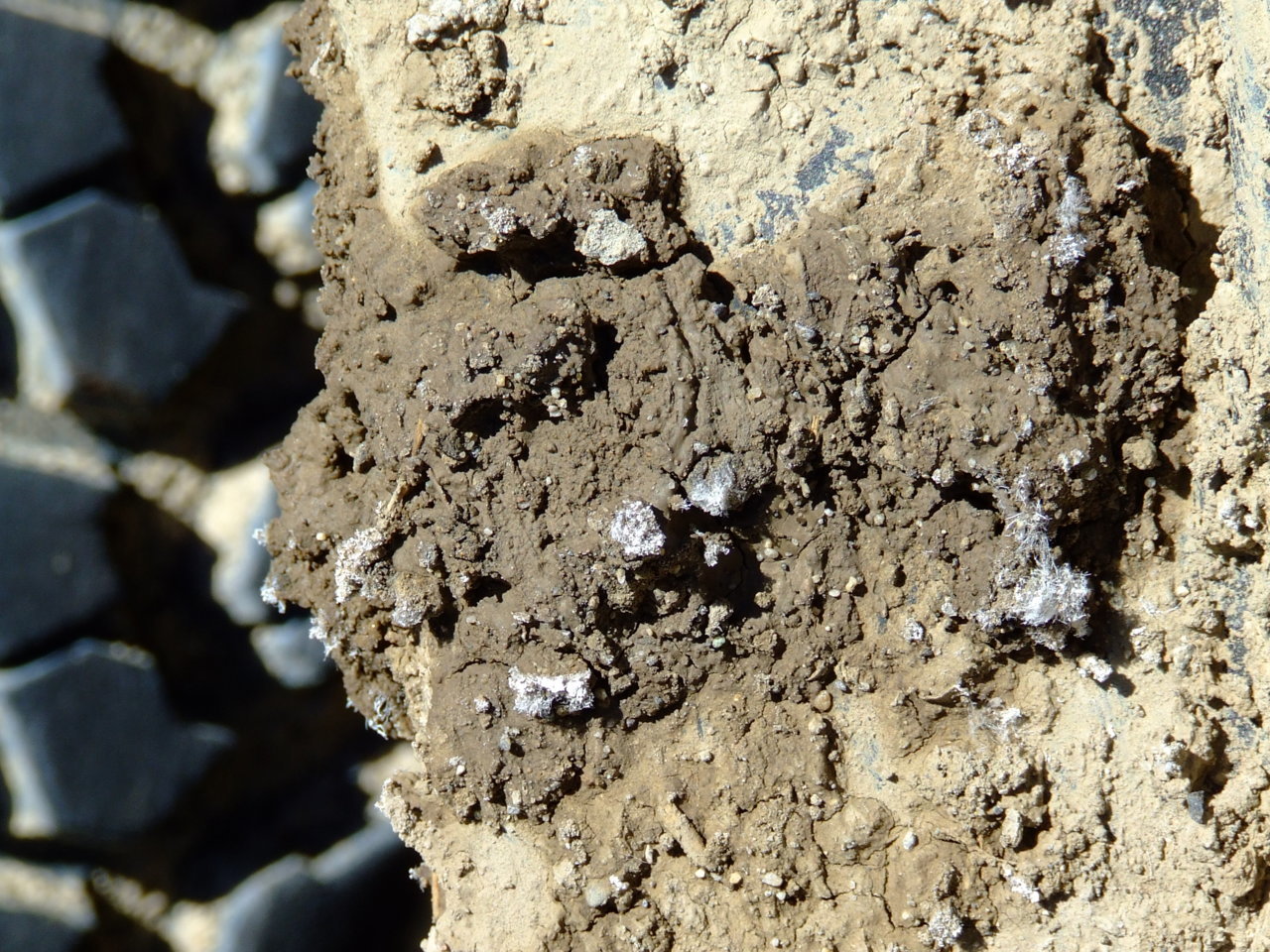 DSCF4990.jpg