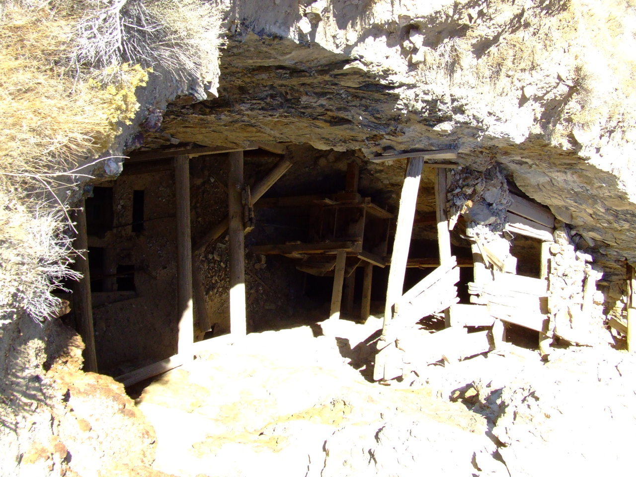 DSCF5117.jpg