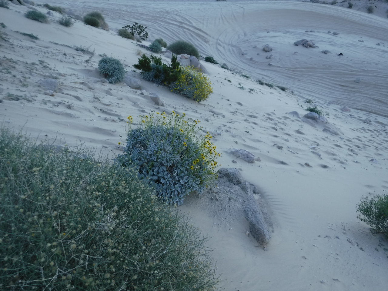 DSCF5164.jpg