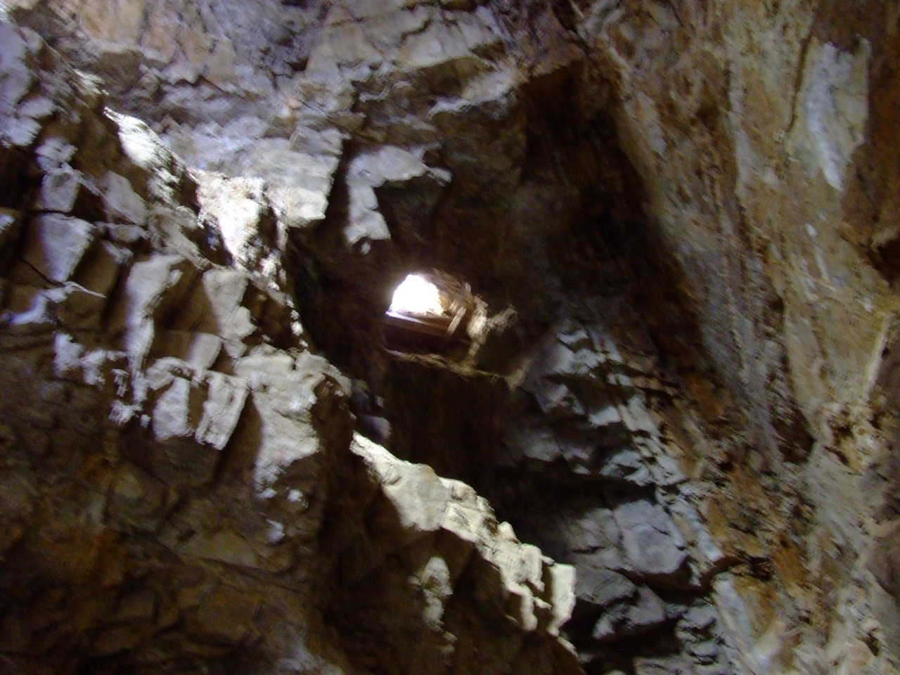 DSCF5184.jpg