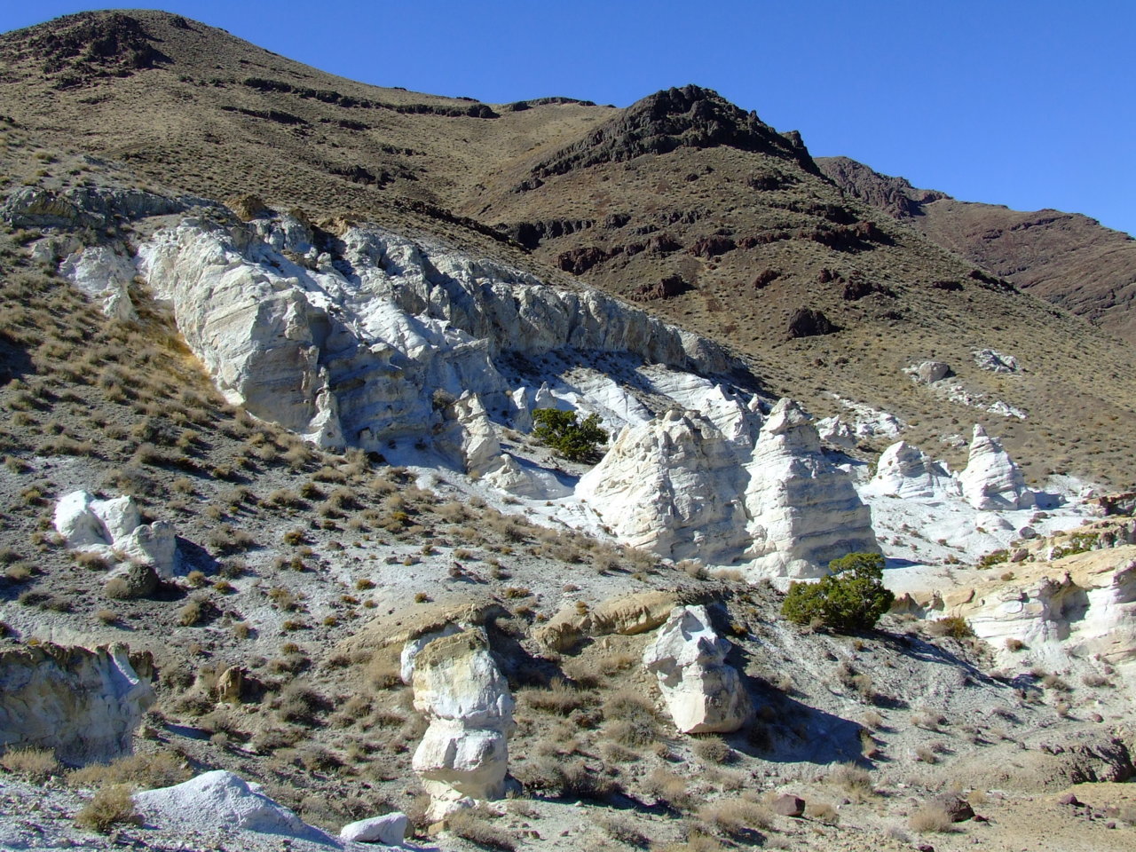 DSCF5198.jpg