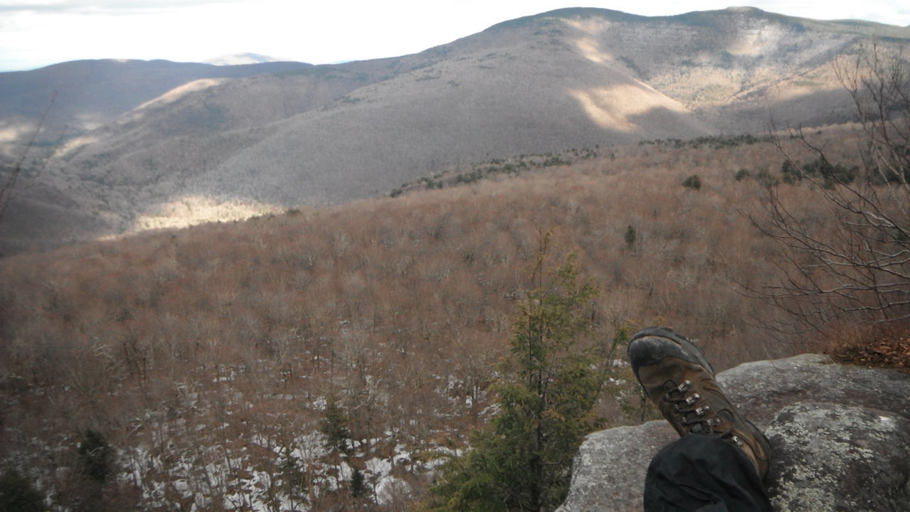 DSCF5208.jpg