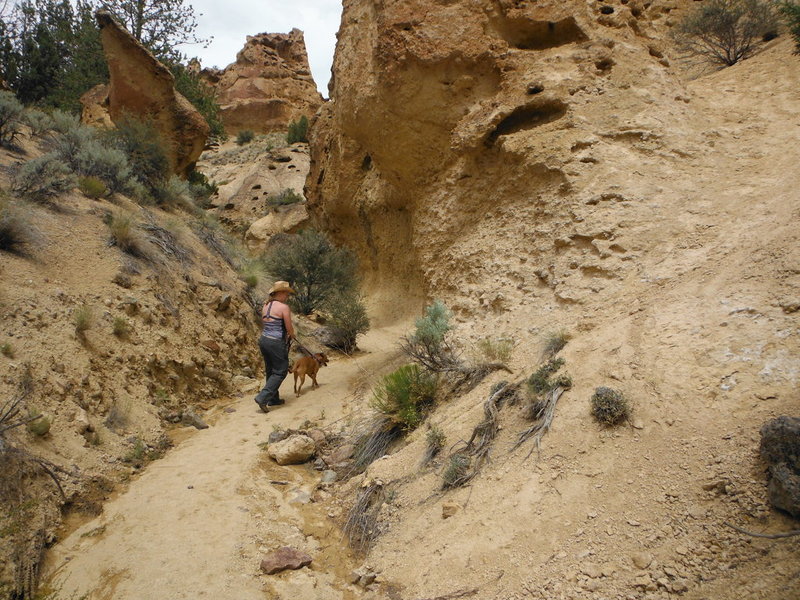 DSCF5351.jpg