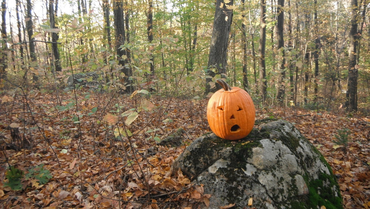 DSCF5427.jpg