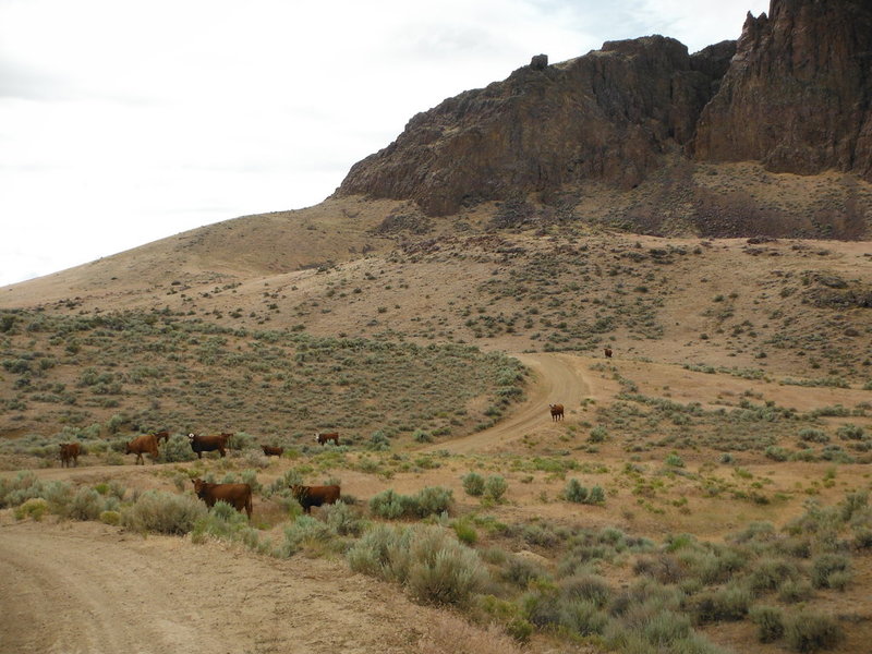 DSCF5508.jpg