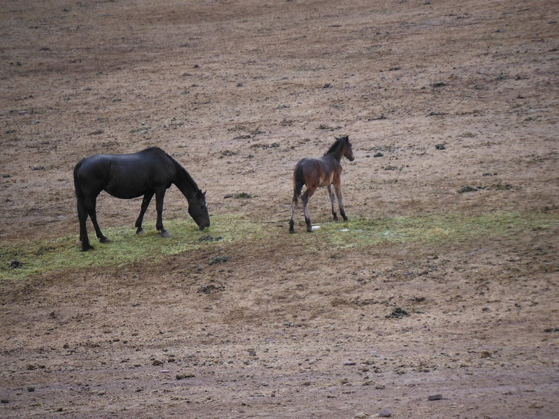 DSCF5642.jpg