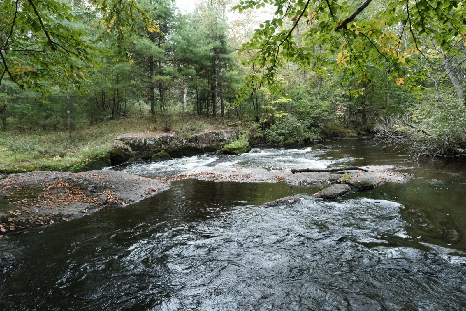DSCF5696.jpg