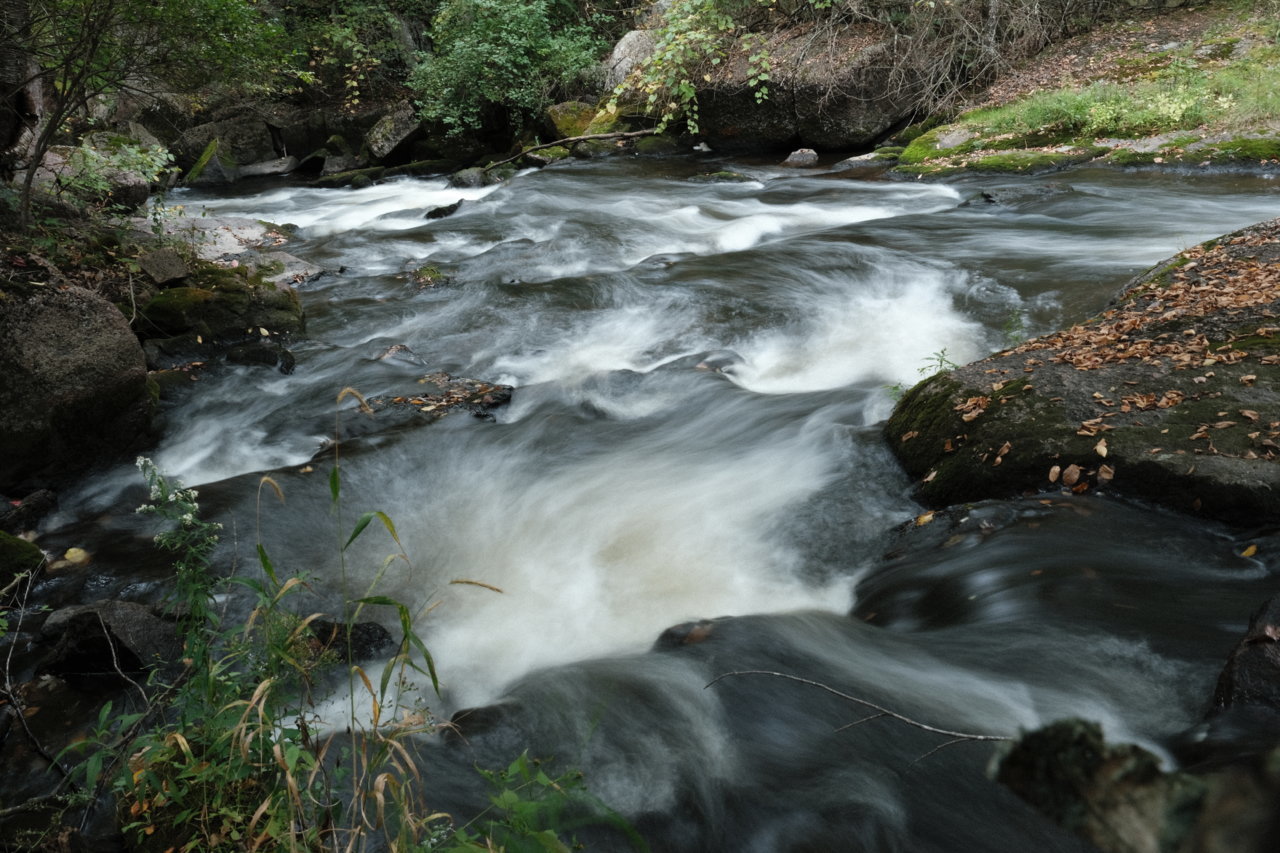 DSCF5701.jpg