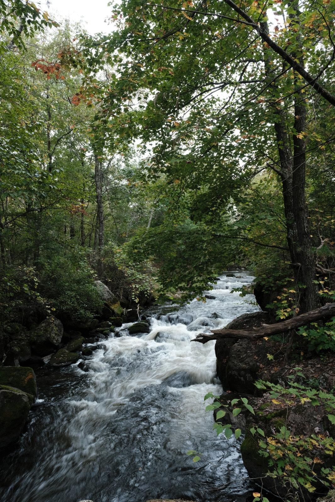 DSCF5705.jpg